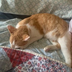 Meet your Posher, Lea